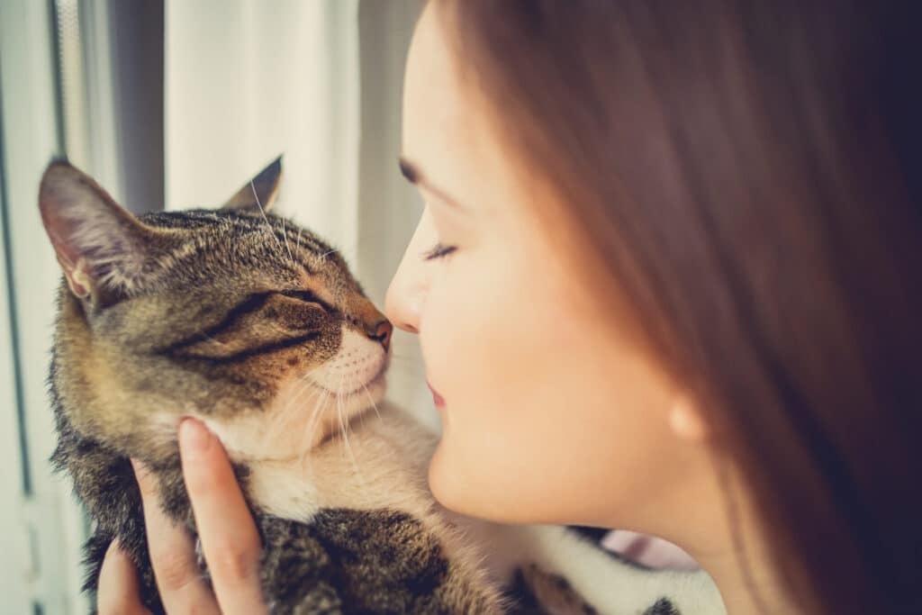 Warum Katzen gut fur unsere Gesundheit sind