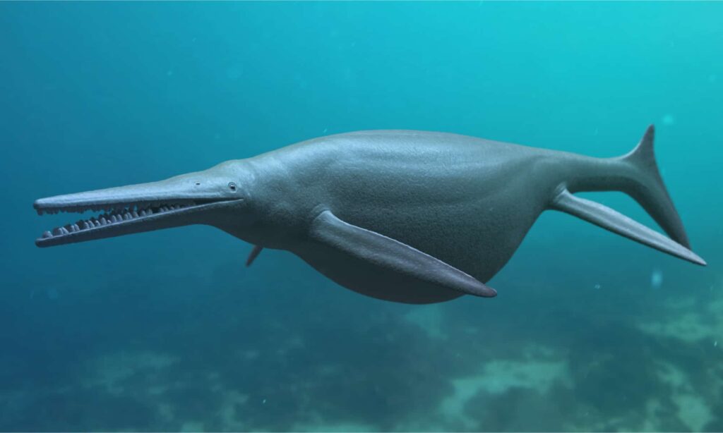 Giant Ichthyosaurus Aquatic Dinosaur 3D Rendered