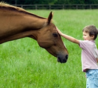 boy and horse 200 2
