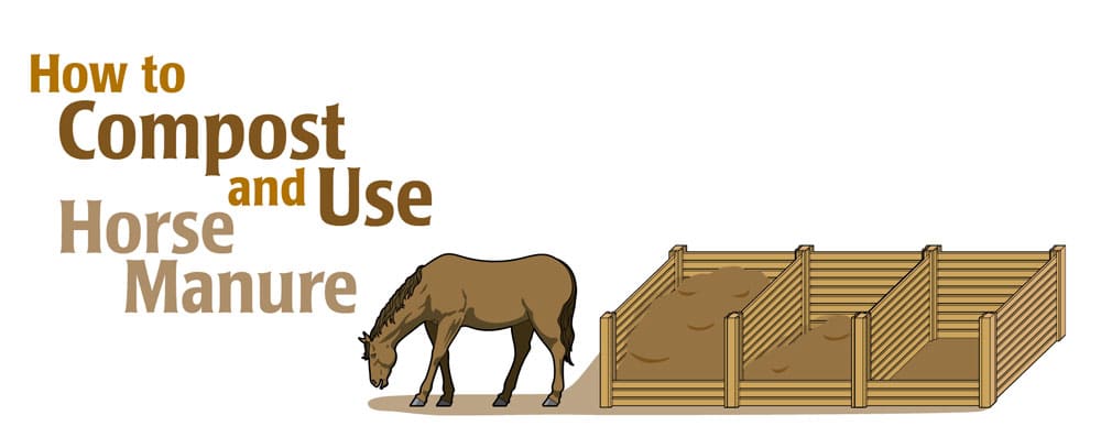 compost horse manure