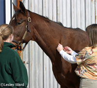 equine vet vaccinate 200