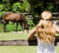 girl fence horse 200 1