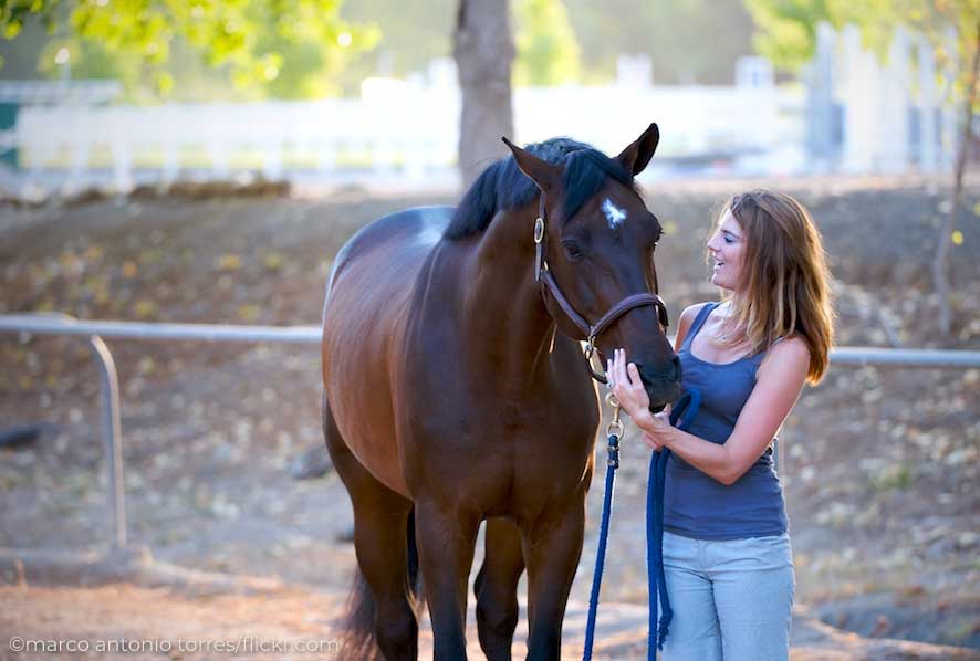 girl with bay horse