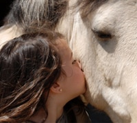 horse kiss 200 1
