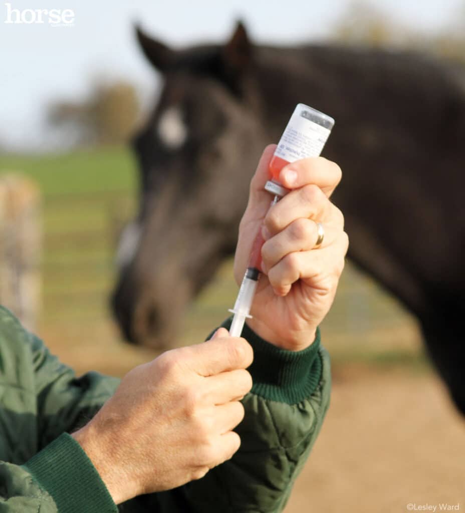 injectable horse medication
