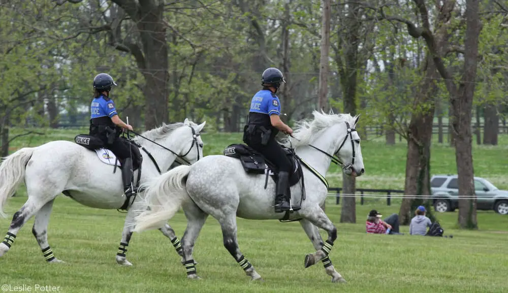 police horses cantering 1000