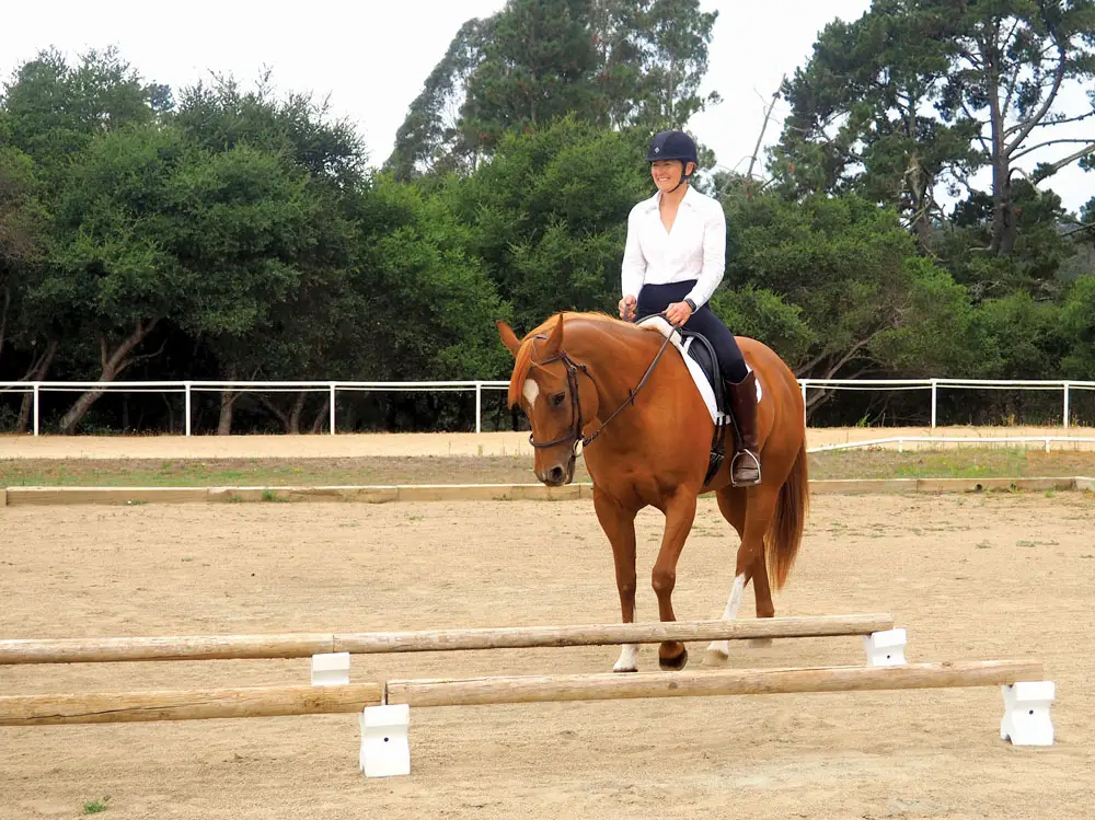 riding cavaletti at an angle