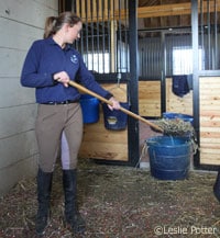 stall cleaning