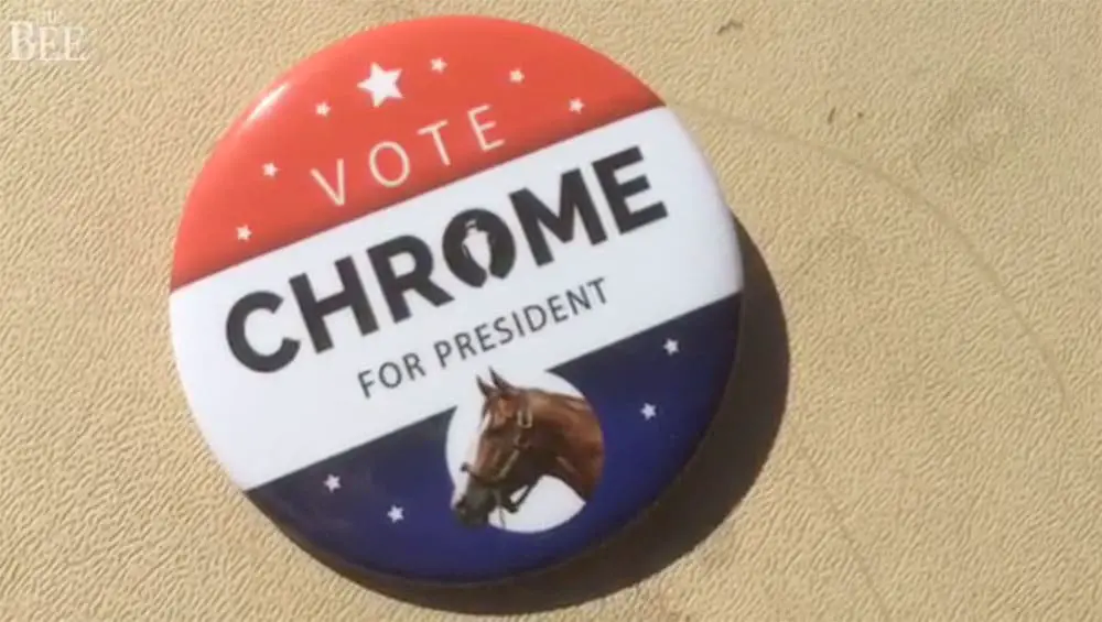 vote chrome for president