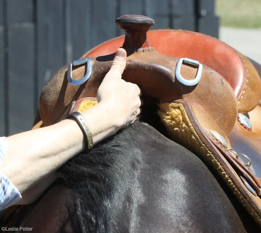 western saddle fit 2