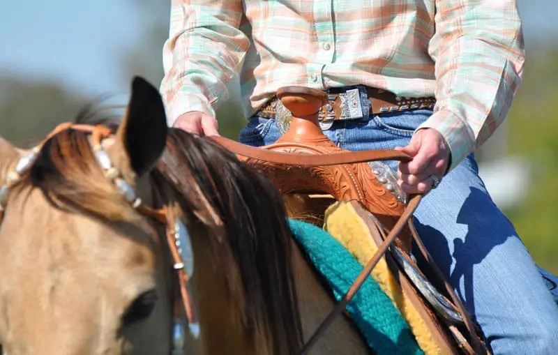 western saddle rider 800