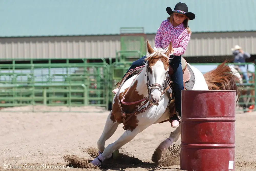 young rider barrel racer