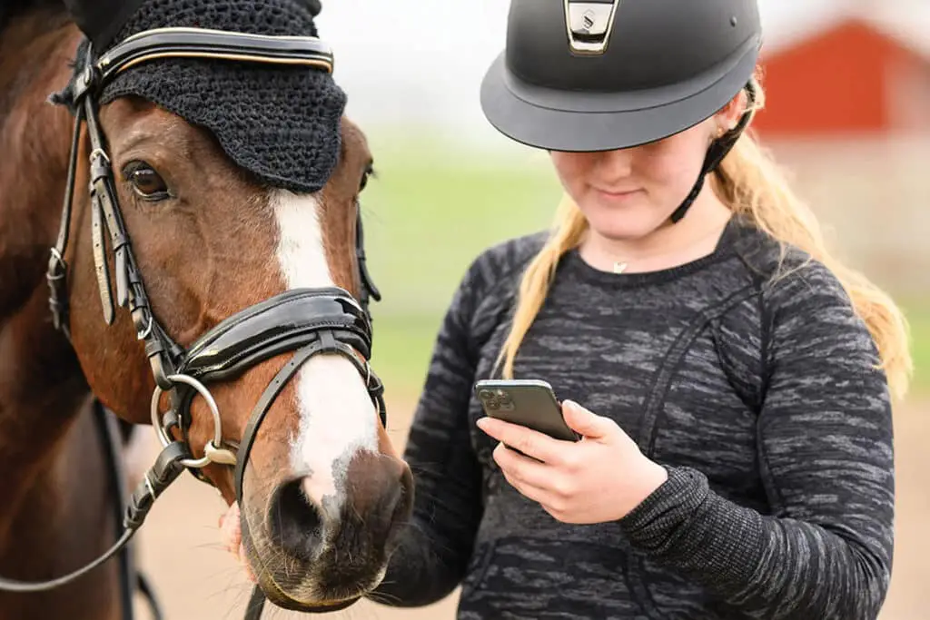 equine apps