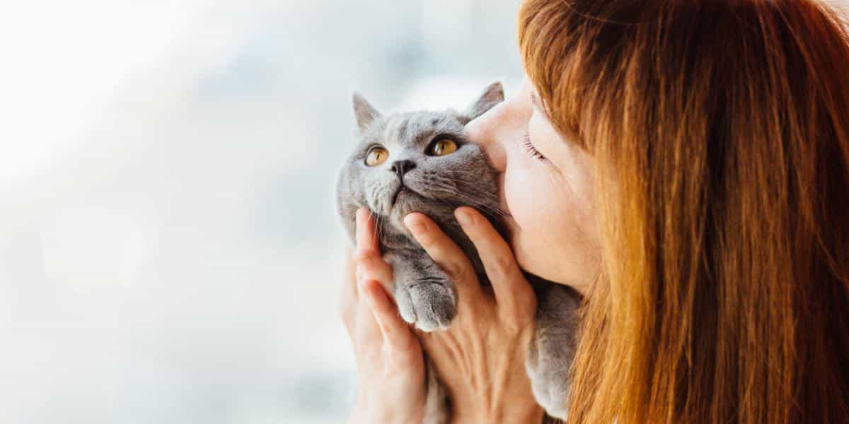Les Chats Aimentils Et Comprennentils Les Bisous ? Pet Yolo