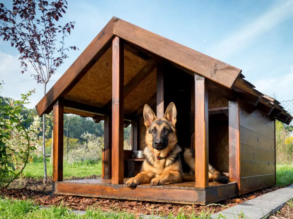 winter dog house
