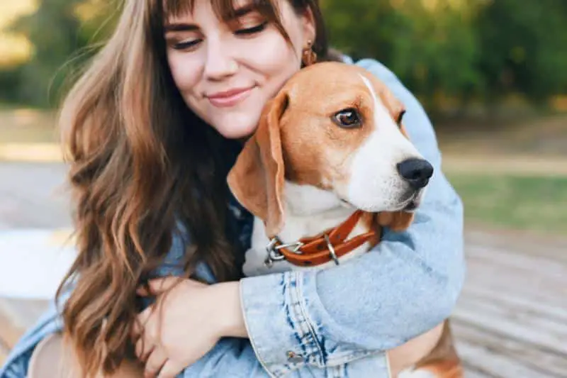 328001 800x533 girl hugs a beagle dog