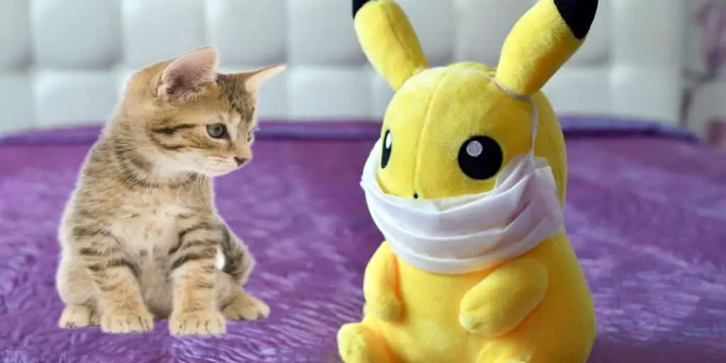 pokemon and kitten compressed