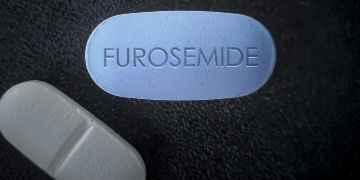 Furosémide Pour Chats Présentation, Posologie Et Effets Secondaires — free download