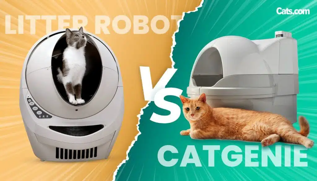 Litter Robot vs CatGenie