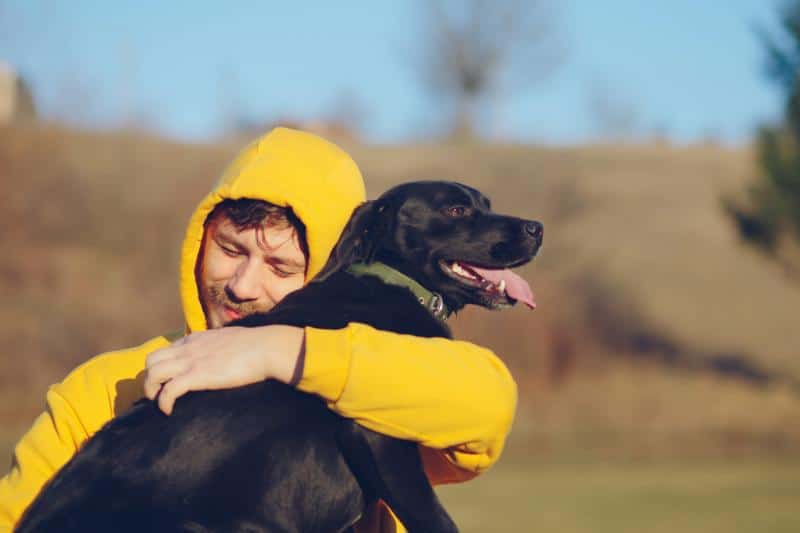 340588 800x533 young man with his dog 1208314679