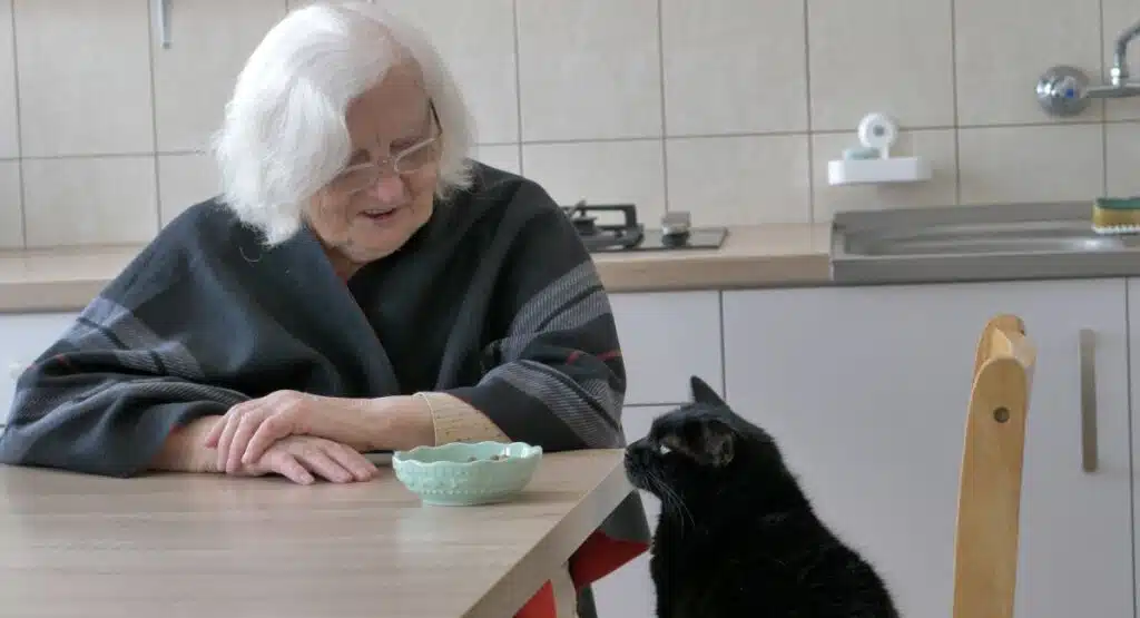 CAT WITH OLD LADY compressed