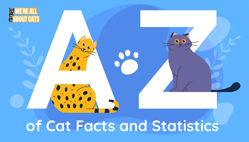 a z cat facts 01