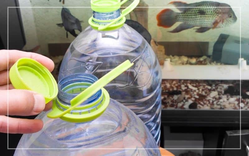 use filtered water fish tank