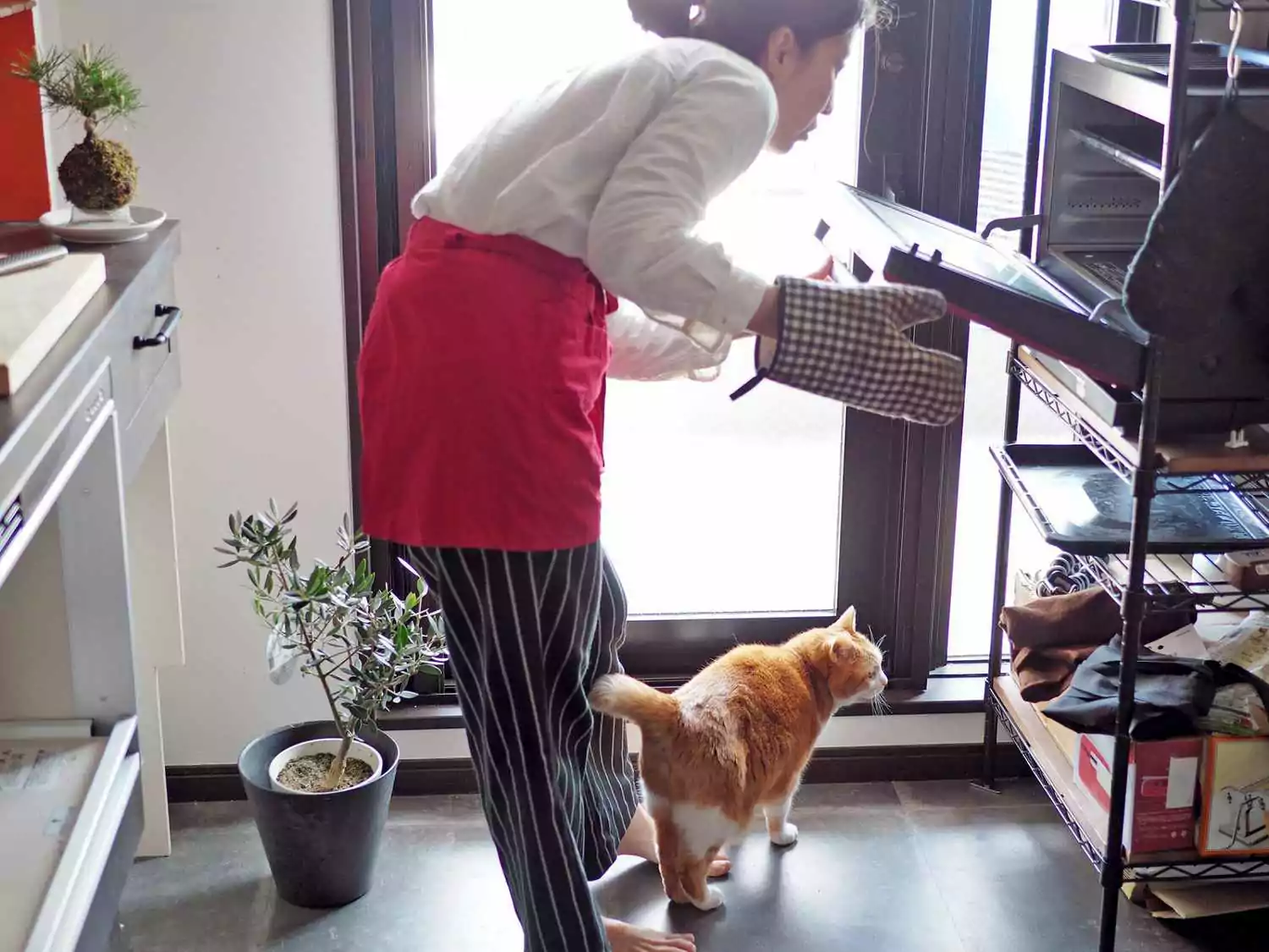 femme ouvrant la porte du four avec un chat roux à ses pieds