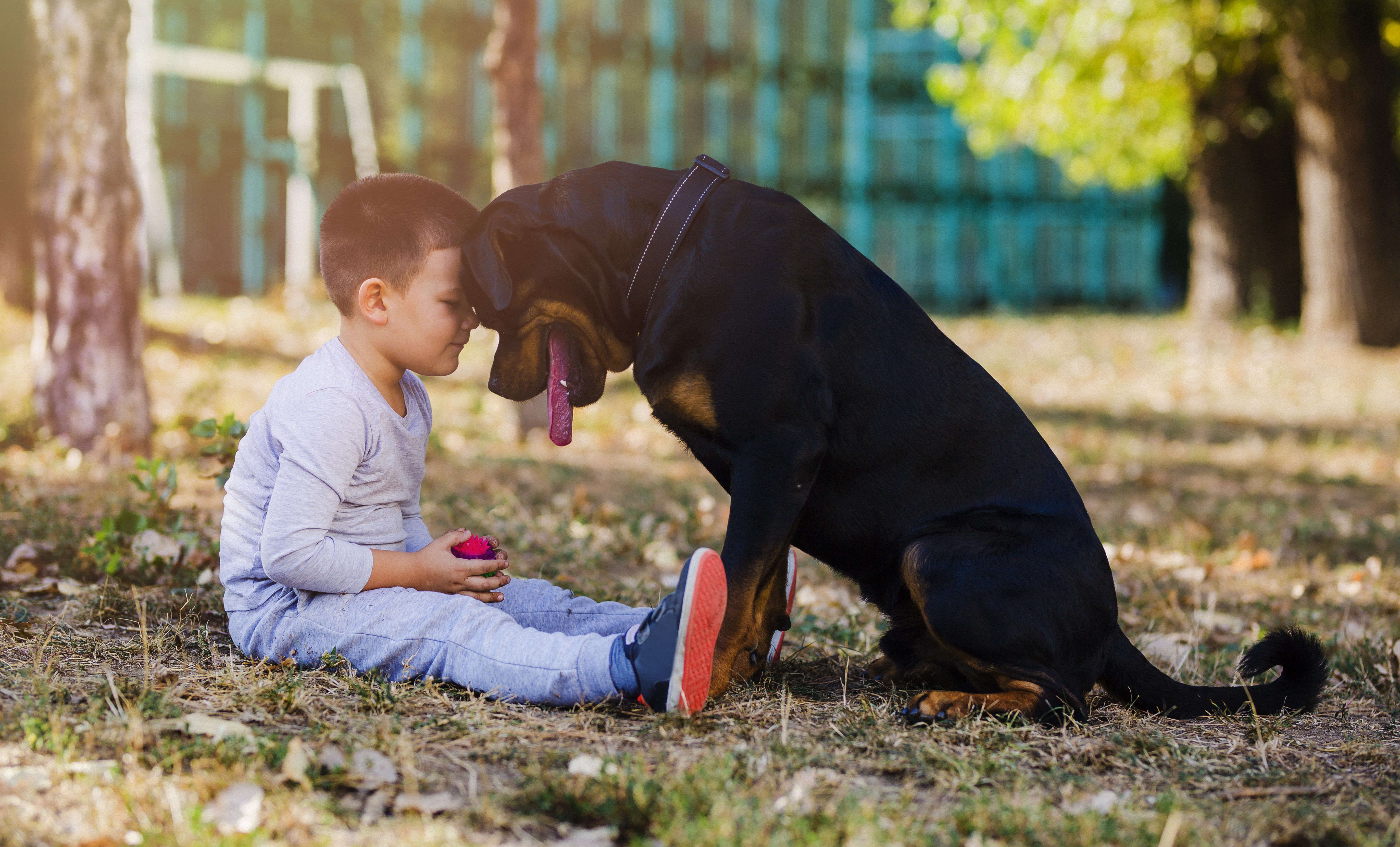 Garçon et son gros chien assis par terre dans la cour