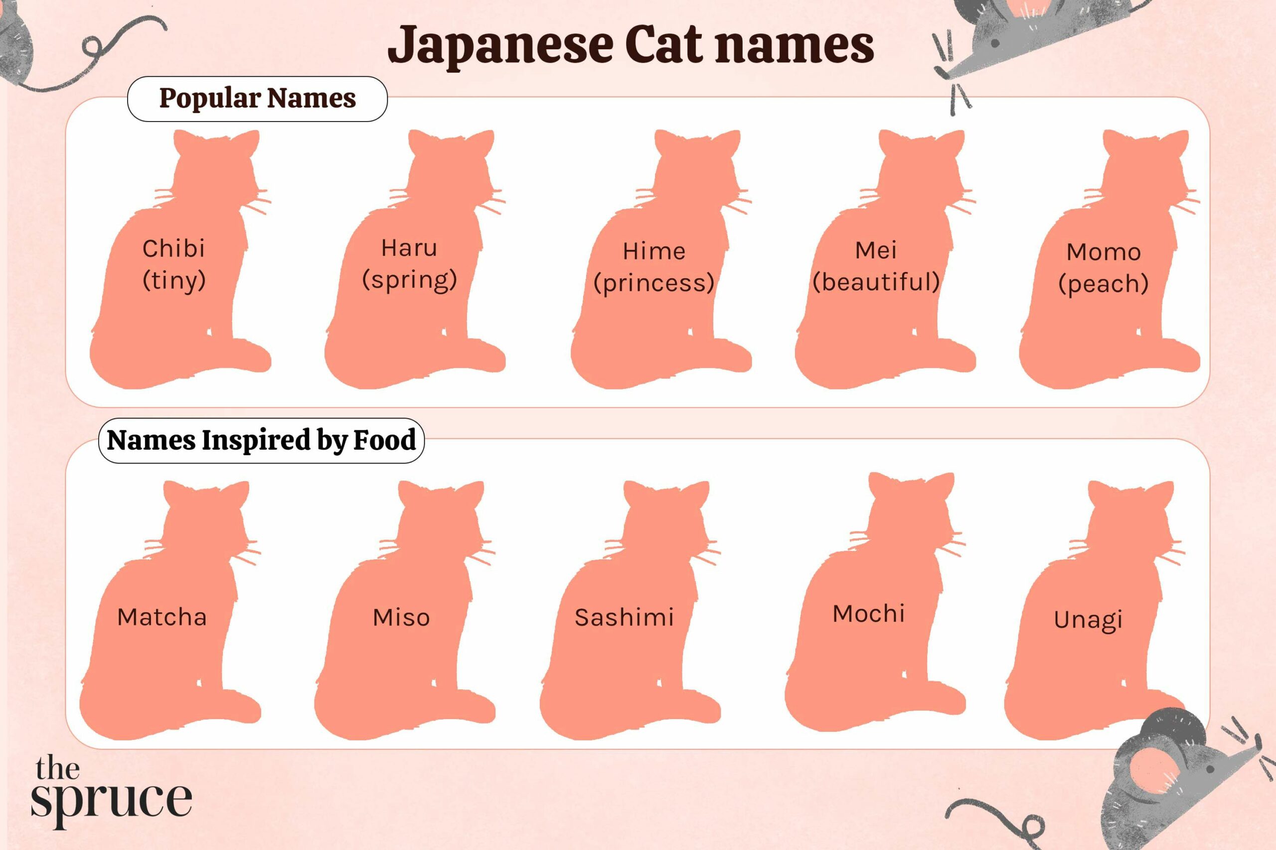 Japanese cat names 5070913 0c83f3b58a004f9bafce8405ec442bca scaled