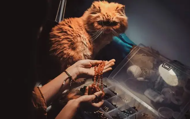 Noms de chats en pierres précieuses :