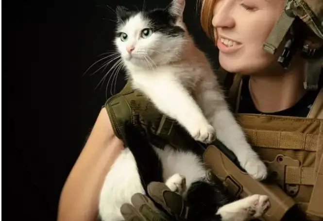 Noms de chats militaires