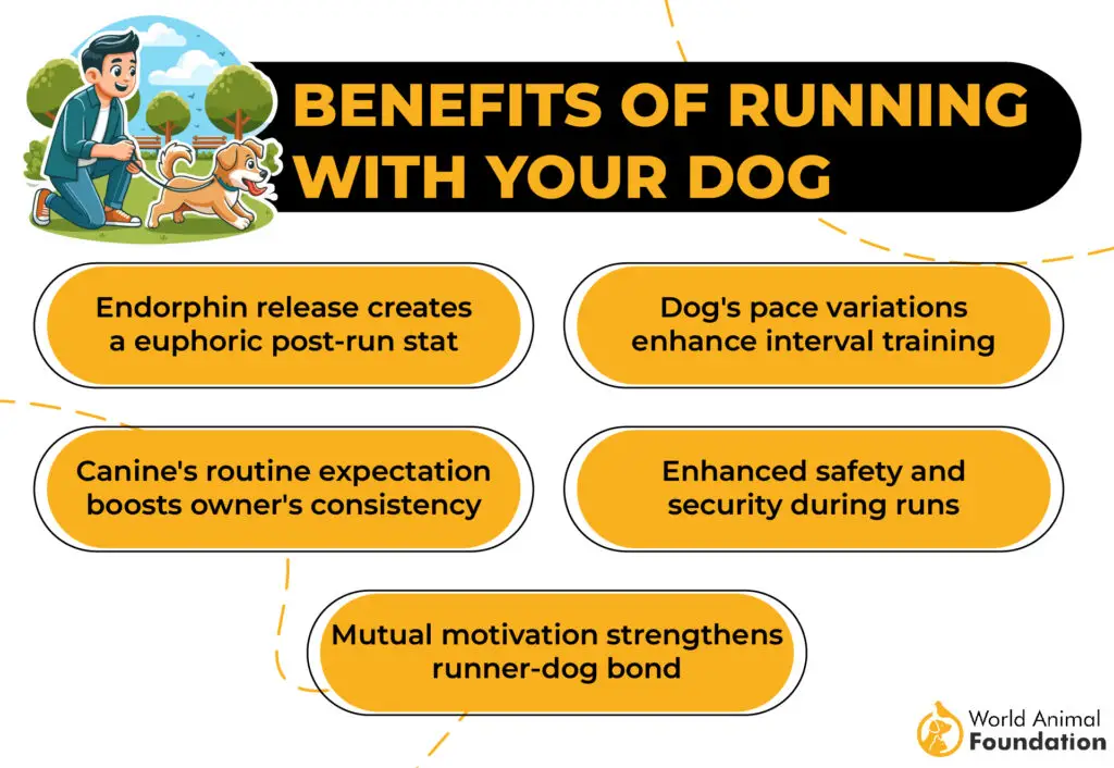 Avantages de courir avec votre chien