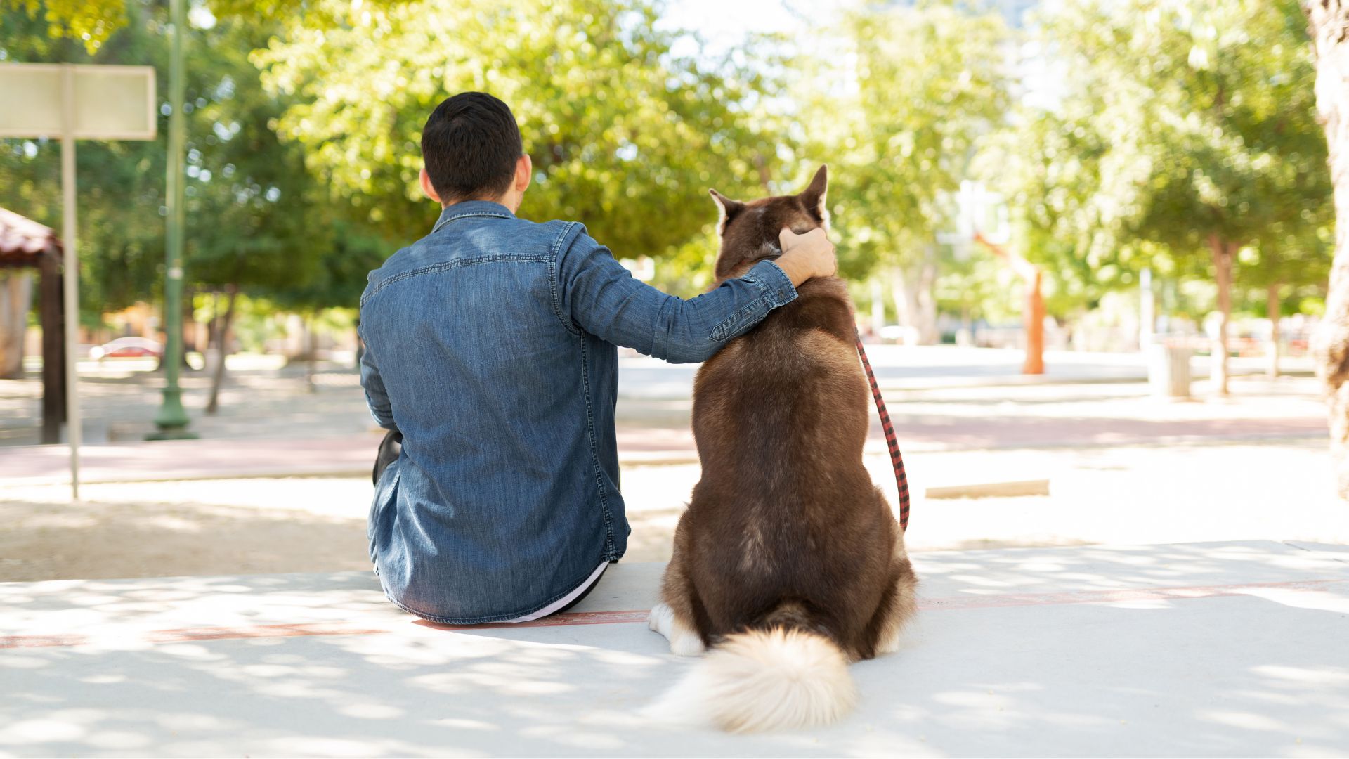 Best Dog Breeds for a Single Man