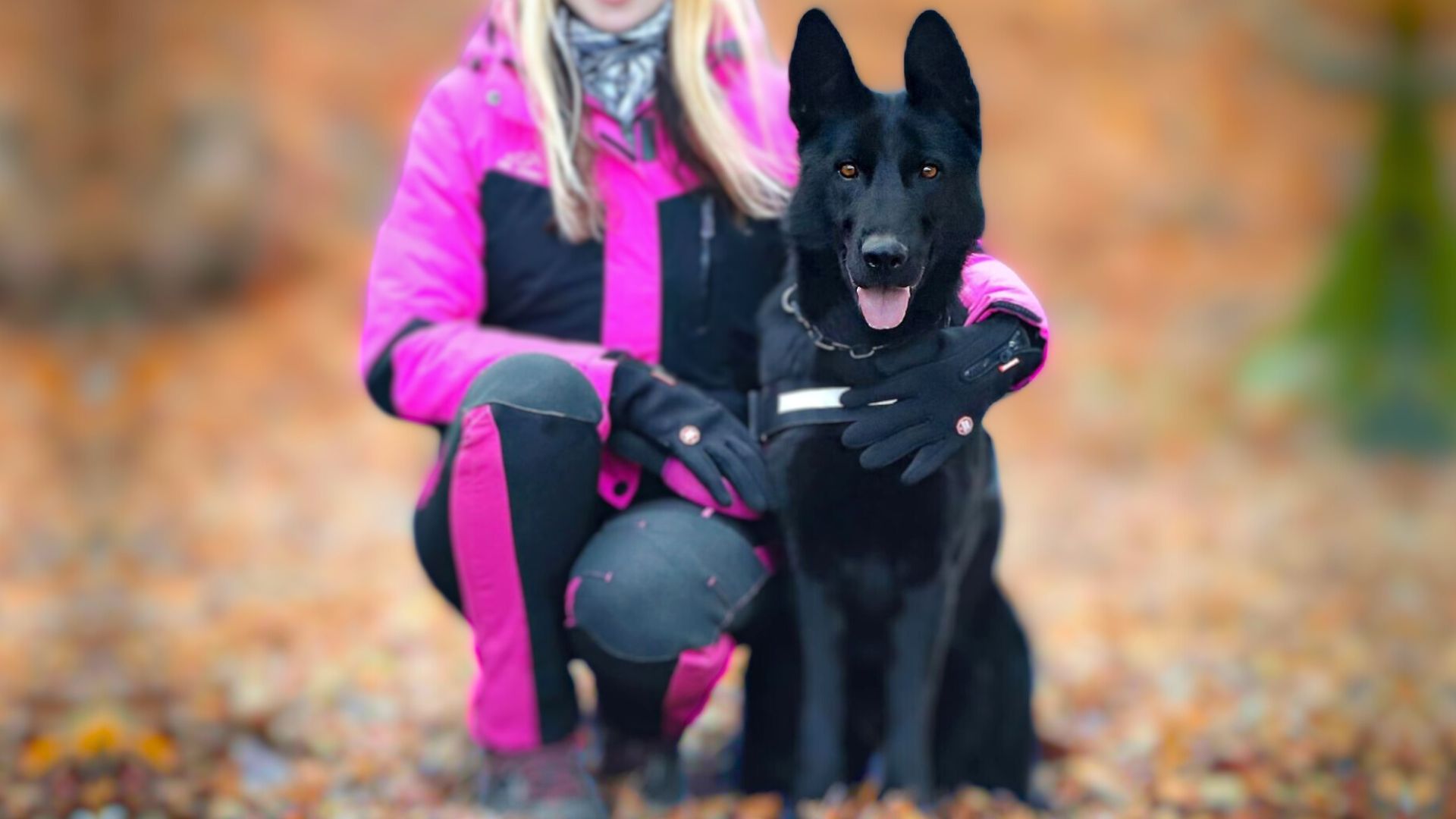 Best Protection Dog Breeds for Females