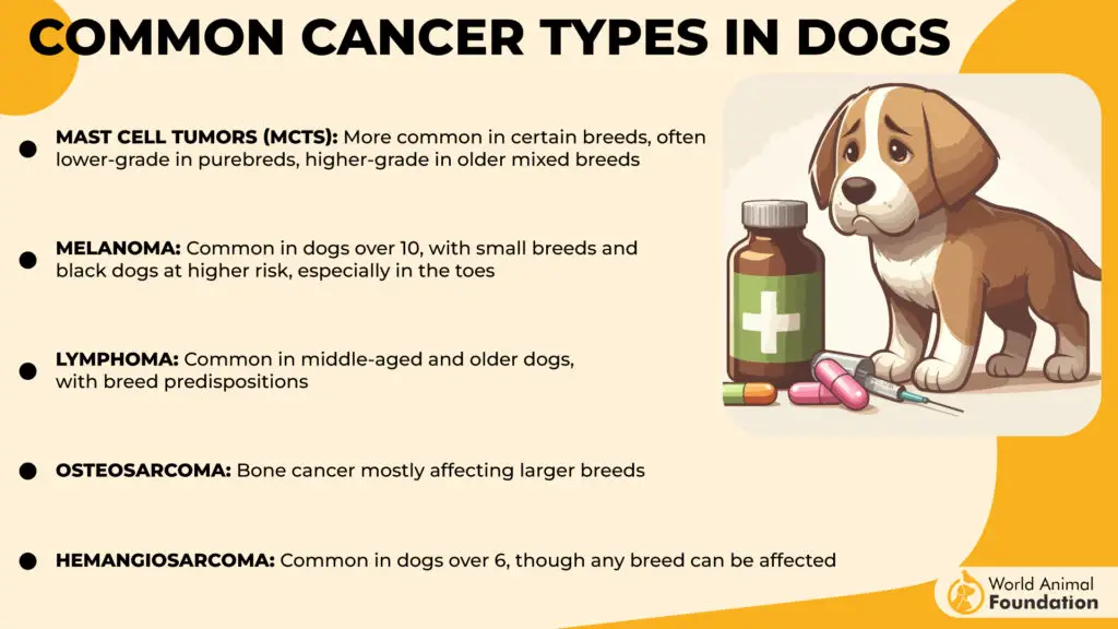 Types de cancer courants chez les chiens