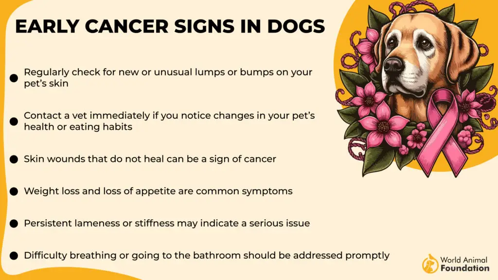 Types de cancer courants chez les chiens