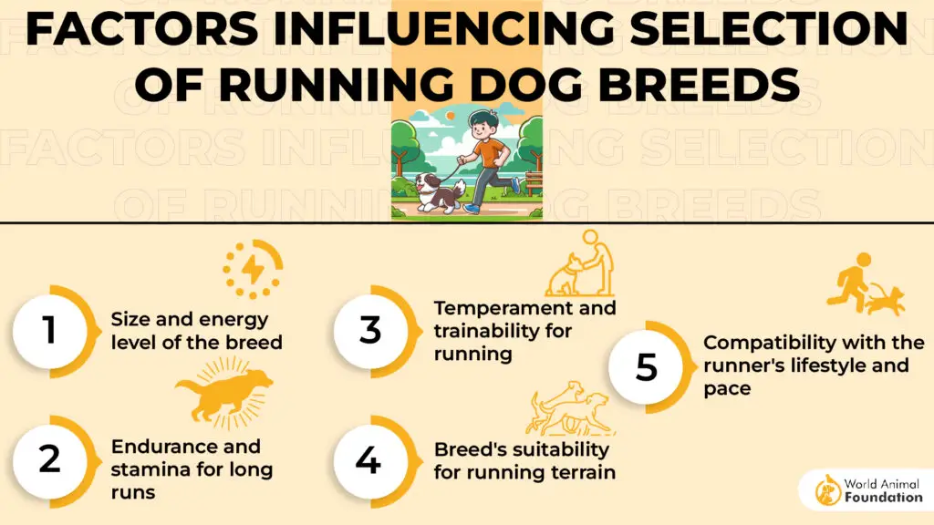 Facteurs influençant la sélection des races de chiens de course