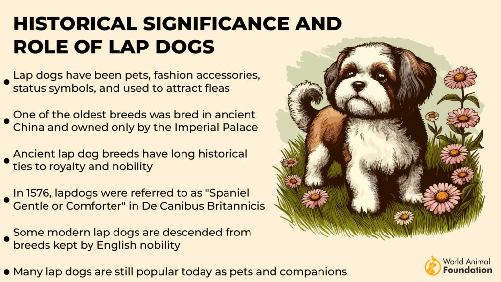 Importance historique et rôle des chiens de compagnie