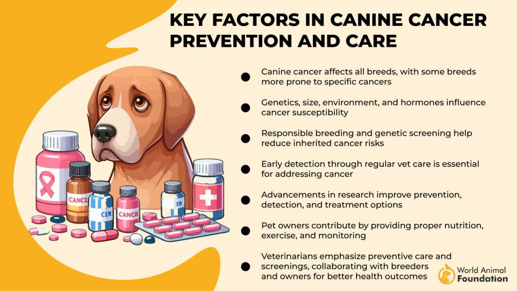 Facteurs clés dans la prévention et les soins du cancer canin