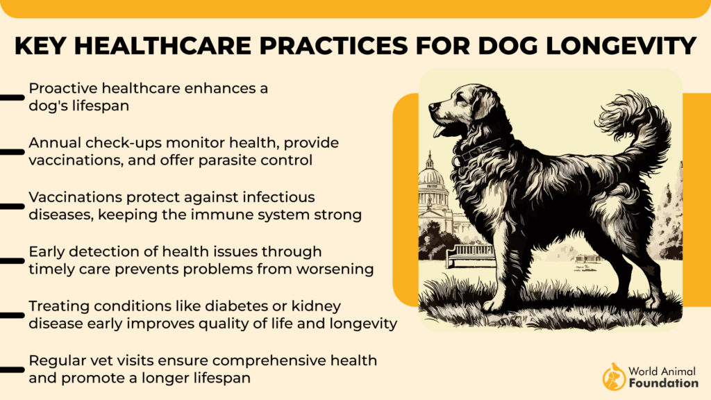 Pratiques de santé clés pour le chien Longevit