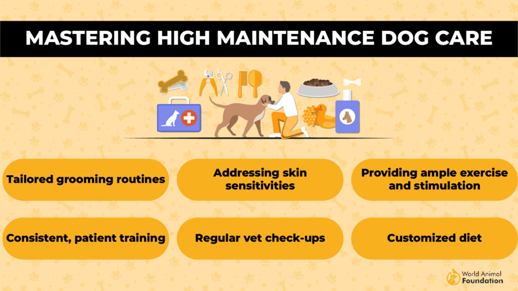 Mastering High Maintenance Dog Care 01 1