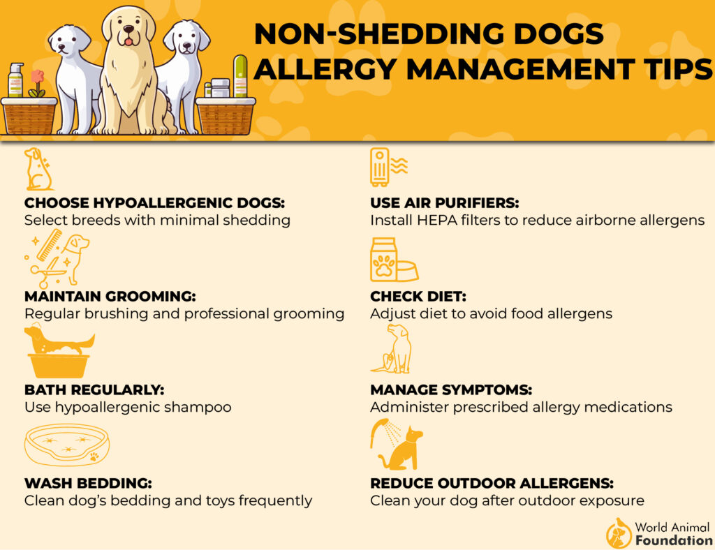 Conseils de gestion des allergies chez les chiens qui ne muent pas