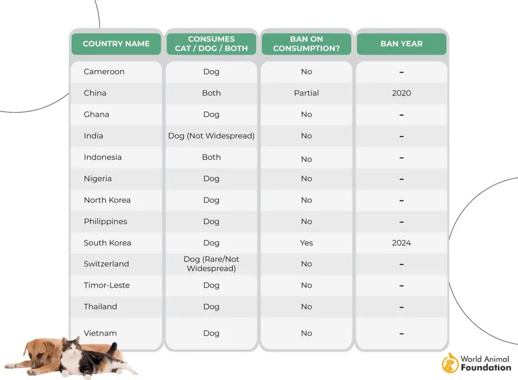 Quels pays mangent des chiens et des chats