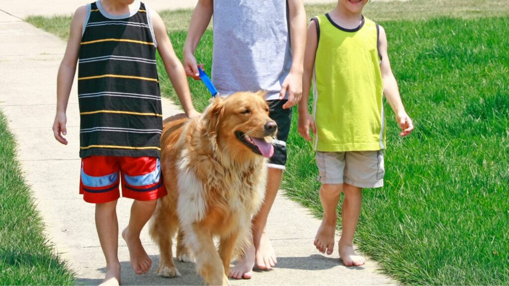 les golden retrievers sont-ils bons avec les enfants