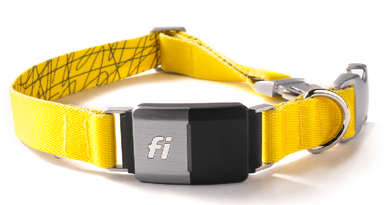 Fi Smart Dog Collar review