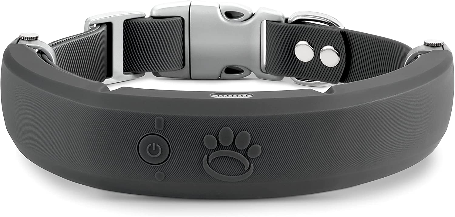 Halo Dog Smart Collar