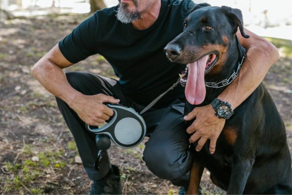 le doberman est-il un bon chien de garde