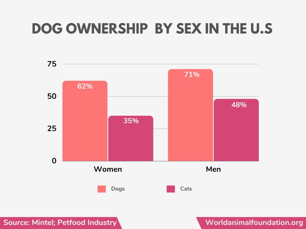 combien de personnes possèdent un chien