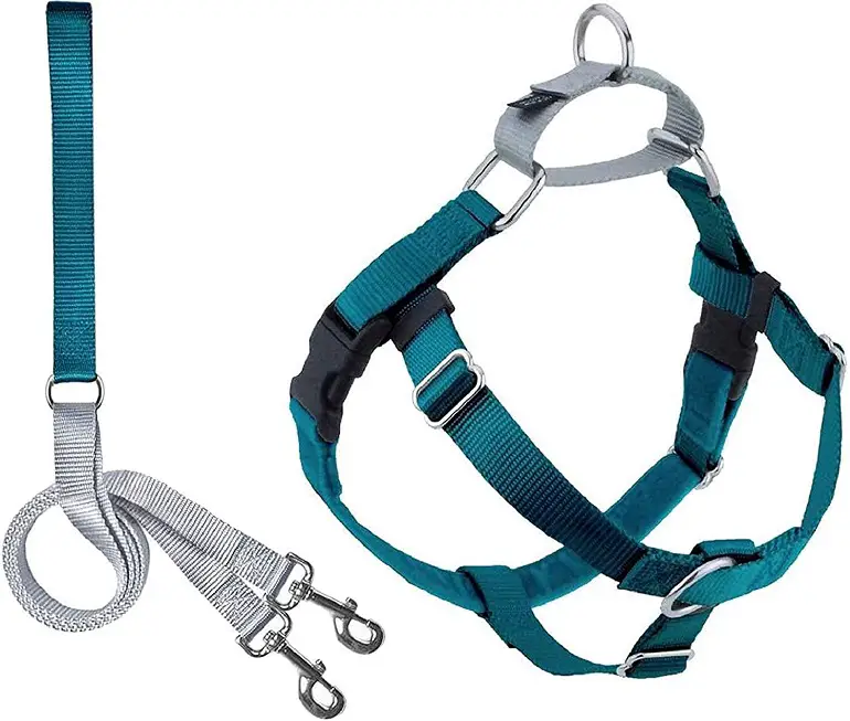 2 Hounds Design Freedom No Pull Dog Harness Review 1